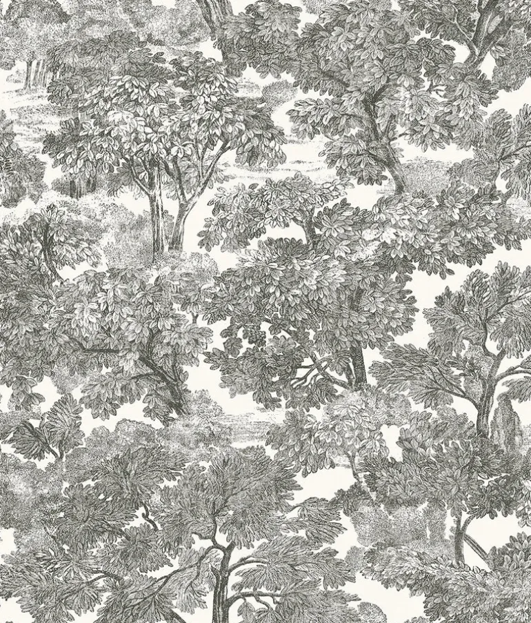 Spinney Black Toile Wallpaper
