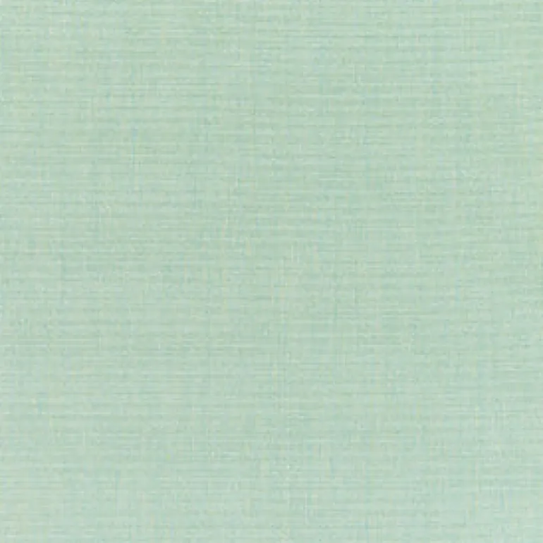 Sunbr Furn Solid Canvas 5413 Spa Fabric