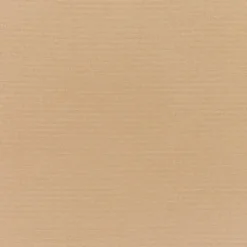 Sunbr Furn Solid Canvas 5468 Camel Fabric