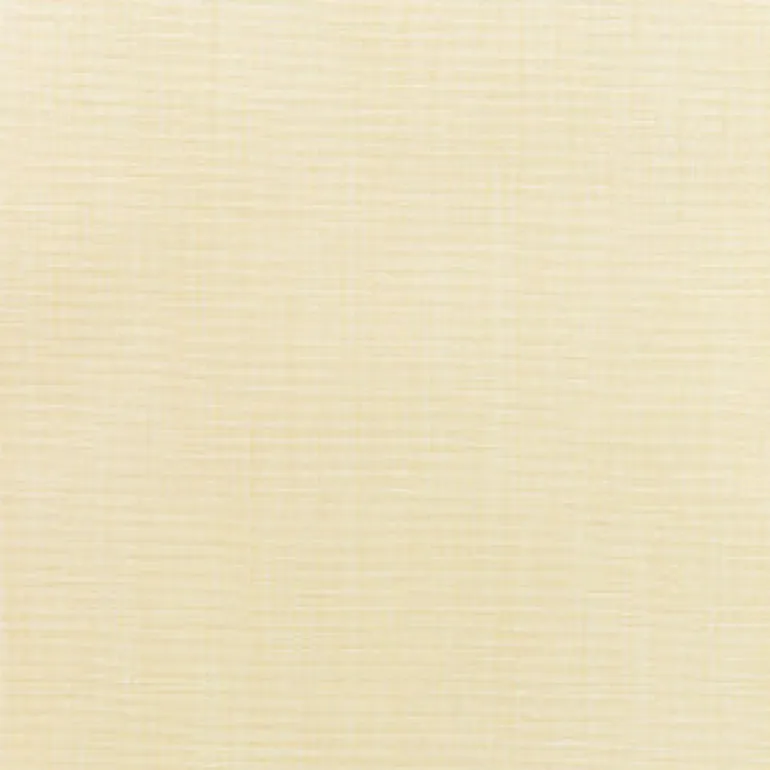 Sunbr Furn Solid Canvas 5498 Vellum Fabric