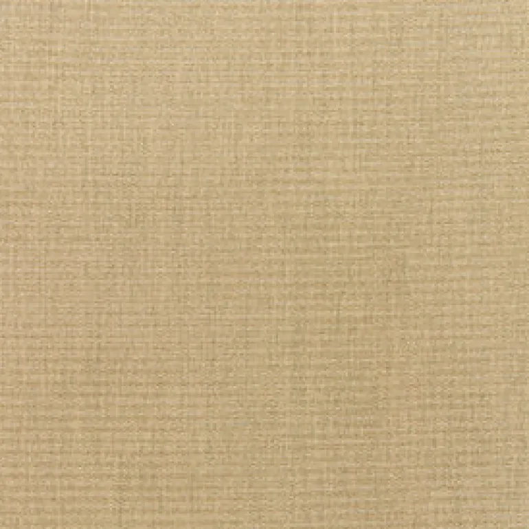 Sunbr Furn Solid Canvas 5476 Heather Beige Fabric