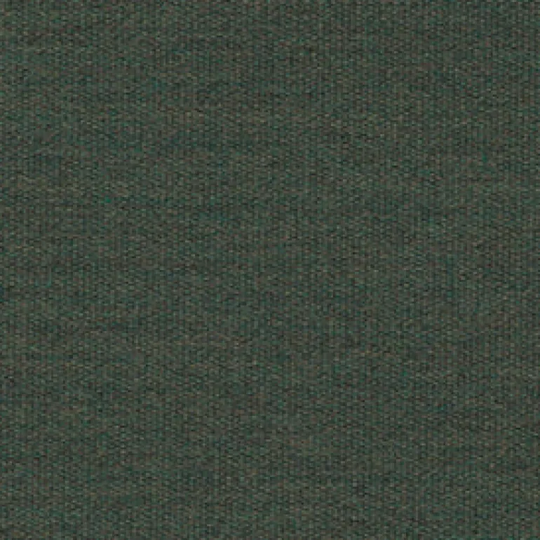 Sunbr Furn Solid Canvas 5487 Fern Fabric