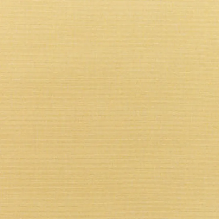 Sunbr Furn Solid Canvas 5414 Wheat Fabric