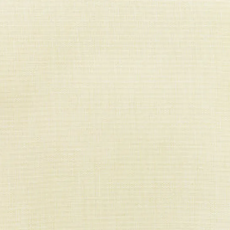 Sunbr Furn Solid Canvas 5472 Bird's Eye Fabric