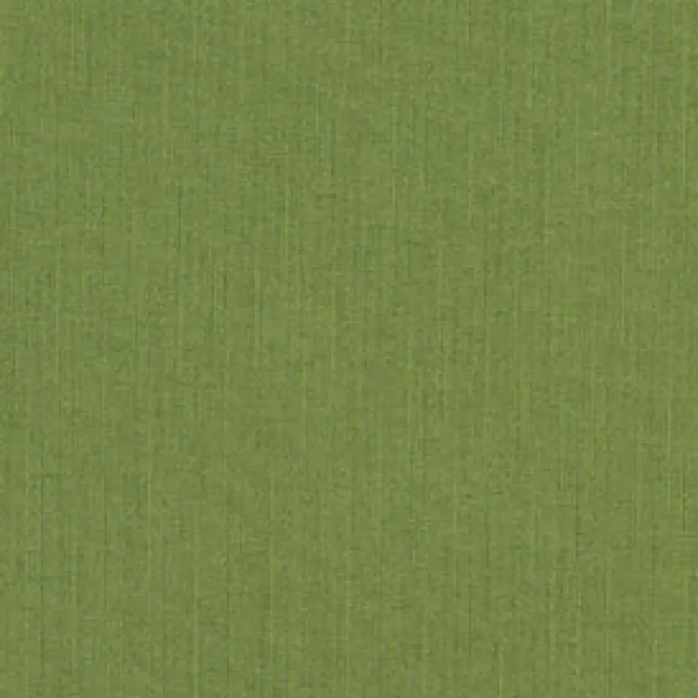 Sunbr Furn Spectrum 48022-0000 Cilantro Fabric