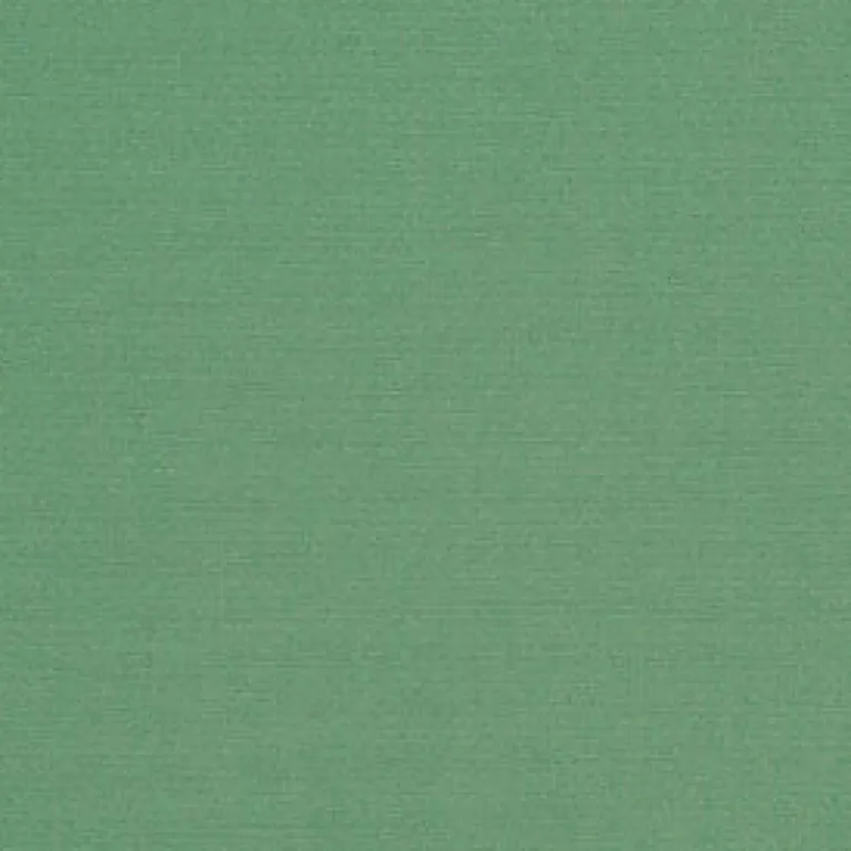 Sunbr 60" 6088 Basil Fabric