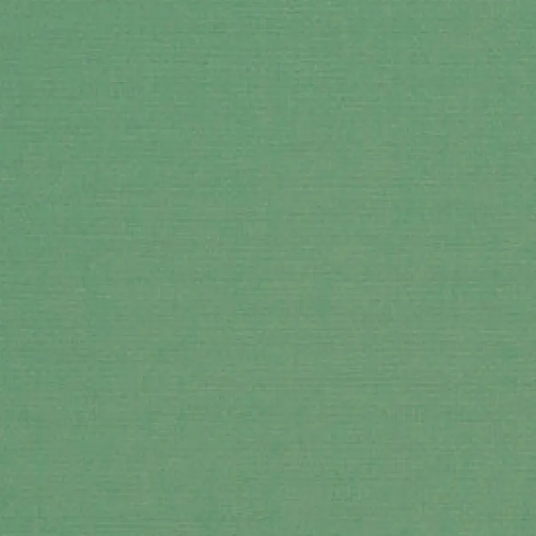 Sunbr 46" 4688 Basil Fabric