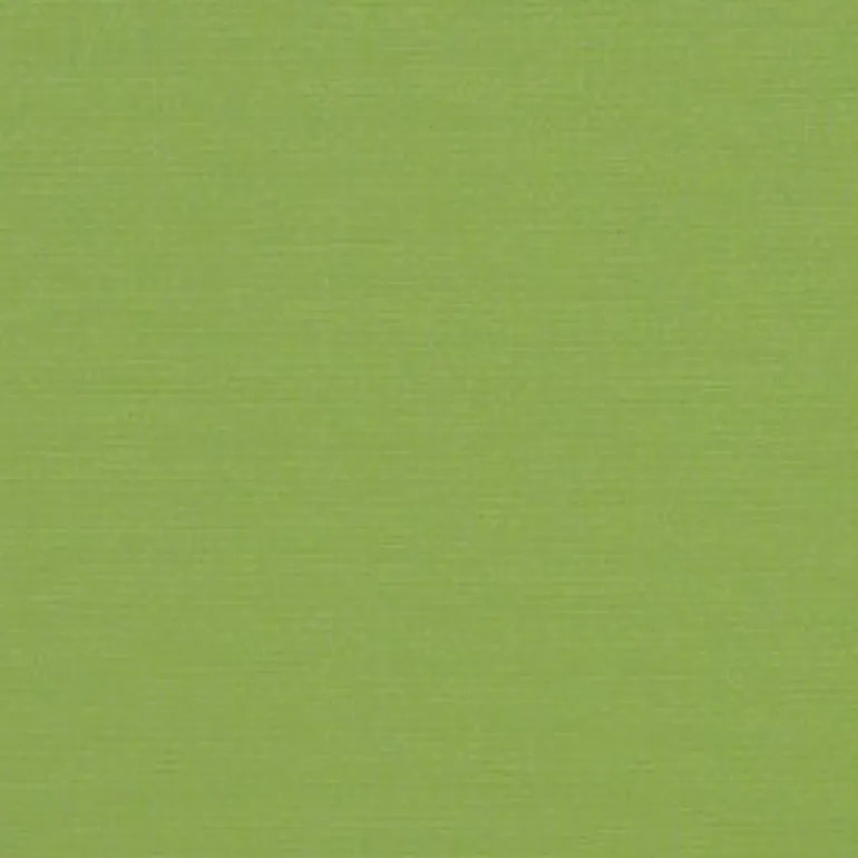 Sunbr 46" 4685 Gingko Fabric