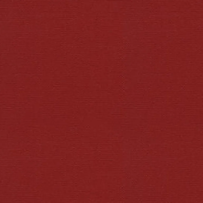 Sunbr 60" 6003 Jockey Red Fabric