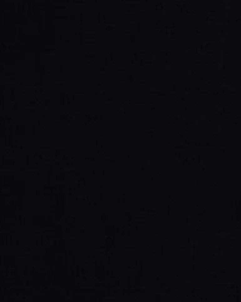 Sundance Ebony Covington Fabric