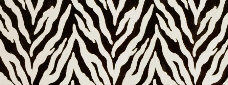 Tanja 916 Ebony Ivory Covington Fabric