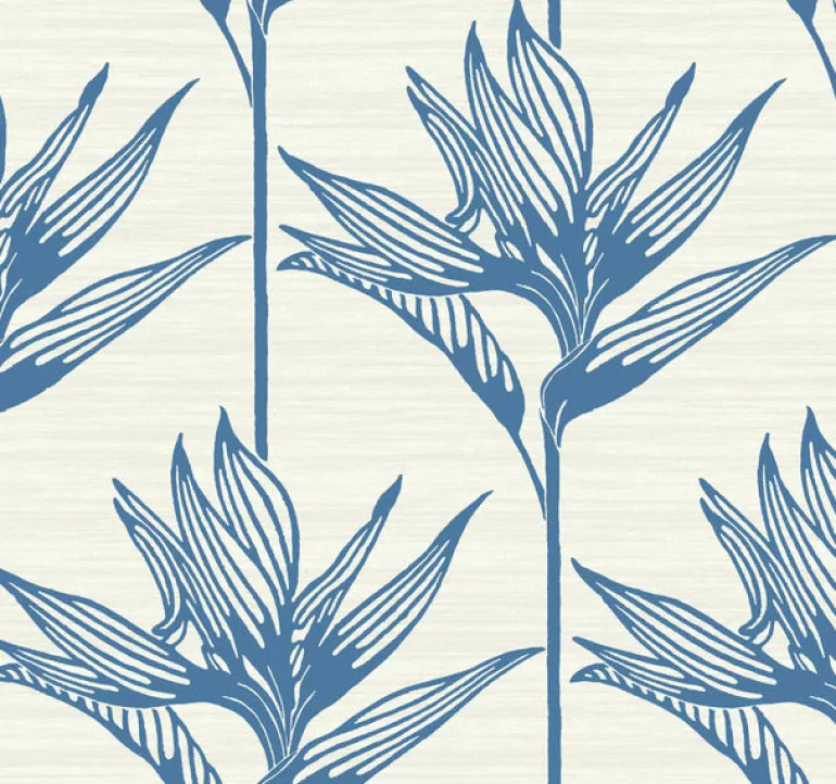 TC2671 Blue Bird Of Paradise Wallpaper
