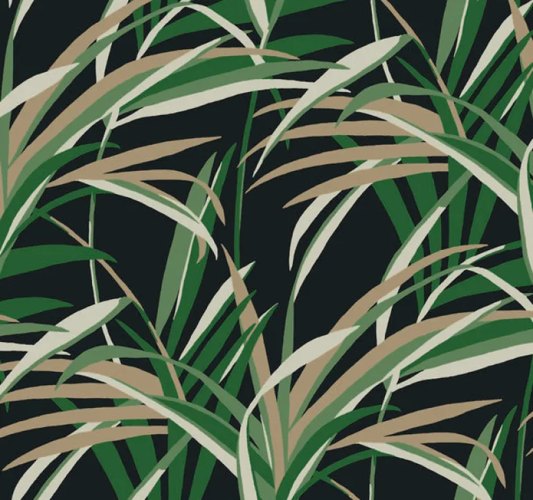 TC2606 Green Black Tropical Paradise Wallpaper