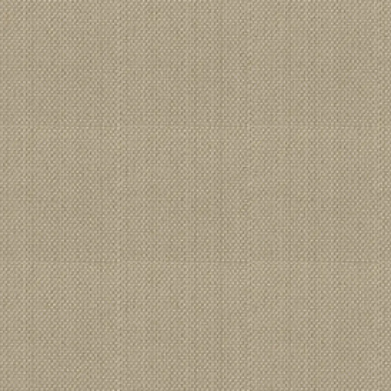 Top Notch1s 642 Tan Fabric
