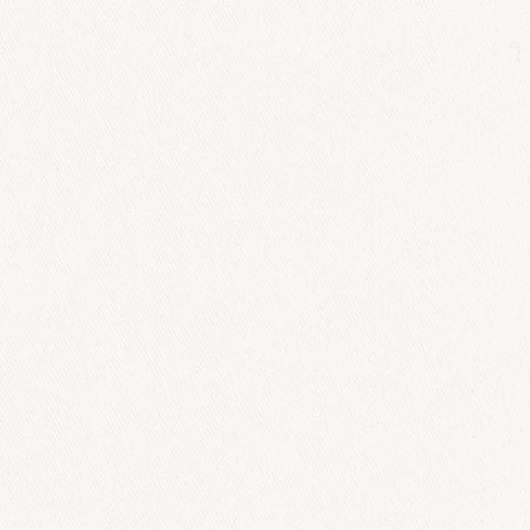 Topsider Snow Regal Fabric