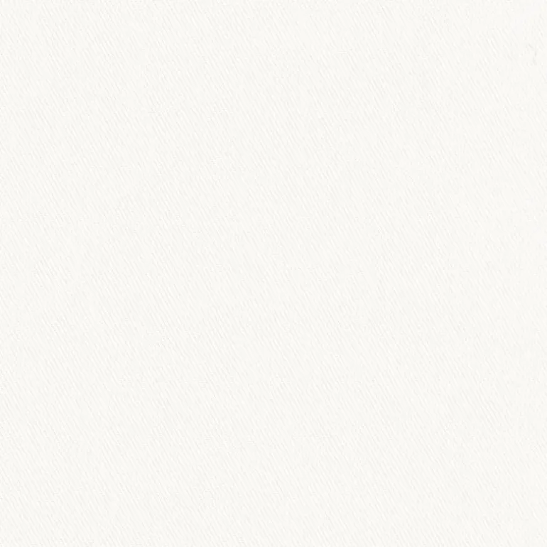 Topsider White Regal Fabric