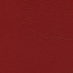 Tradewinds 6618 Hawaiian Red Fabric