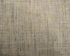 Trophy Seashell Swavelle Mill Creek Fabric