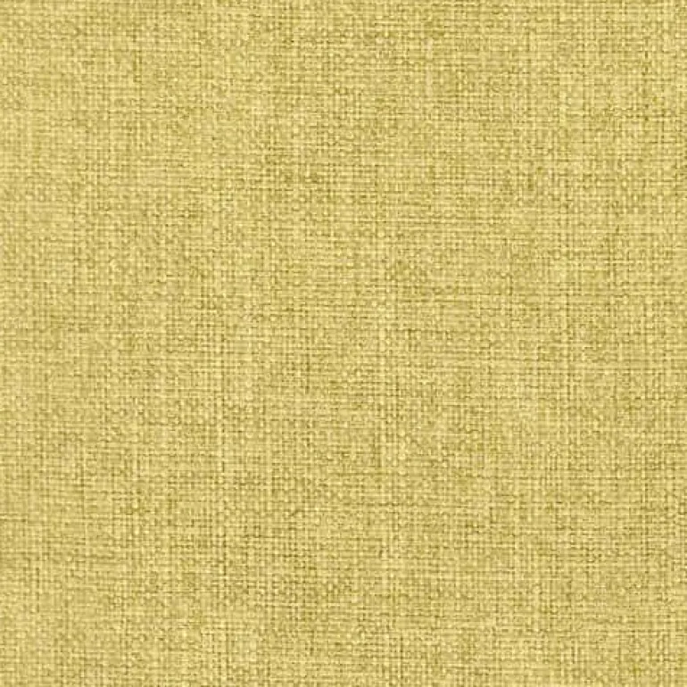 Turbo Citron Regal Fabric