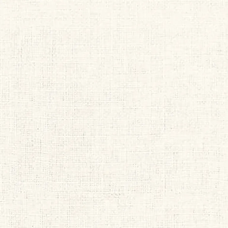 Turbo Vanilla Regal Fabric