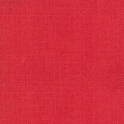 Turbo Watermelon Regal Fabric