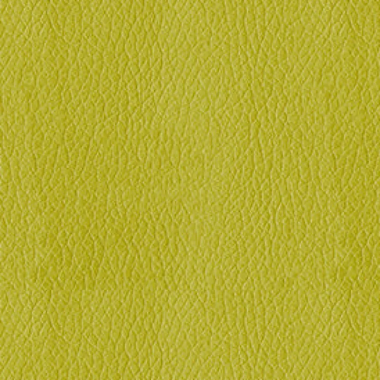 Turner 54 Citron Fabric