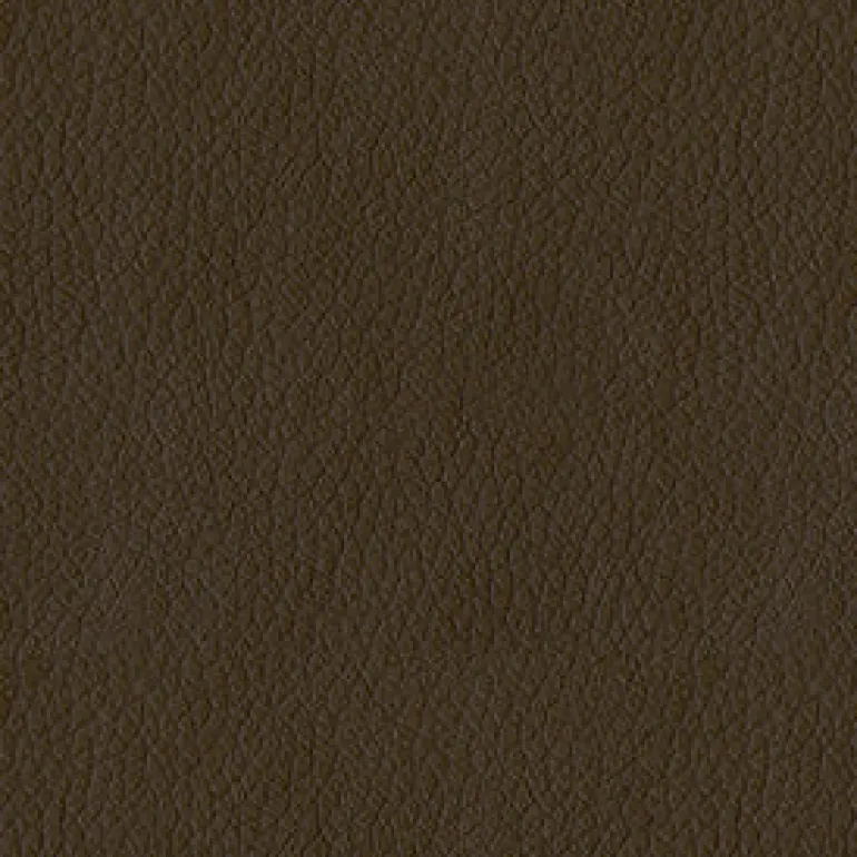 Turner 802 Tan Fabric