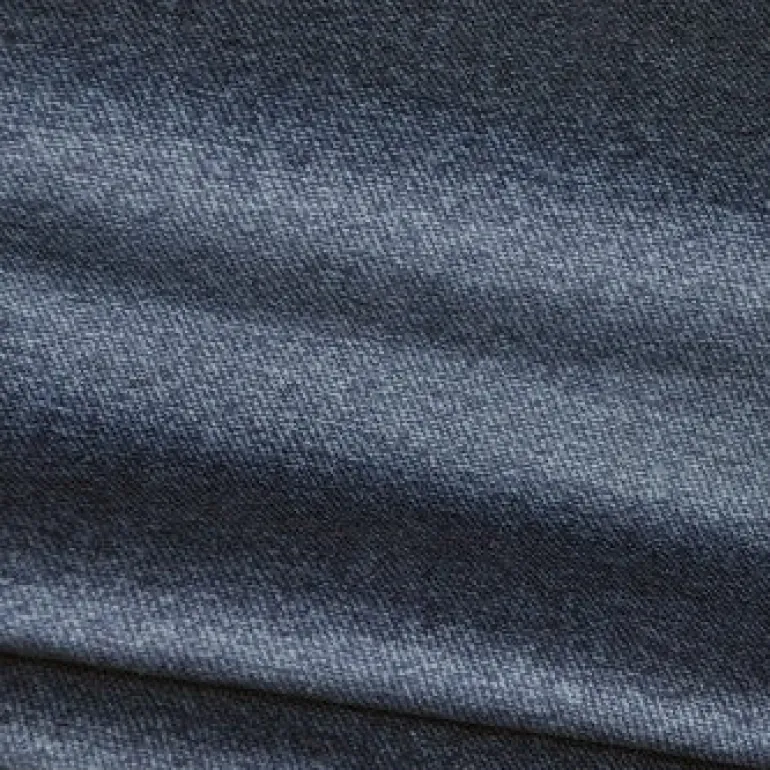 Tweetie Navy Culp Fabric