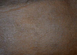 Vagabond Elk Culp Fabric