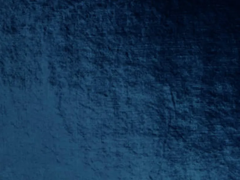 Velluto 55 Navy Covington Fabric