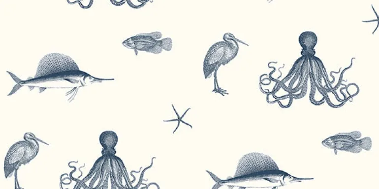 Ventura Navy Sea Creature Wallpaper