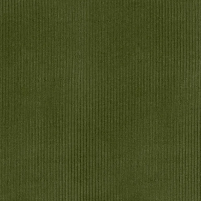 Wales Avocado P/K Lifestyles Fabric