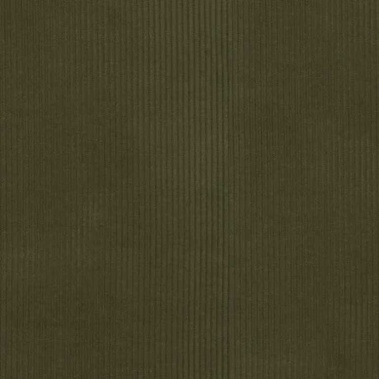 Wales Moss P/K Lifestyles Fabric