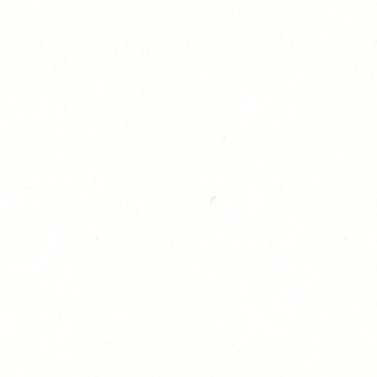 WeatherMax 80 29371 White Fabric