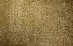 Wendy Caramel Regal Fabric