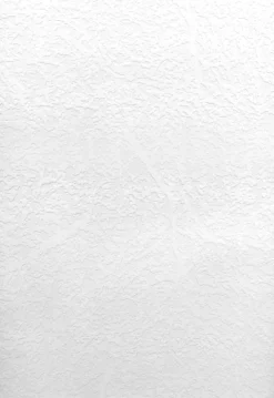 Willie Paintable Texture Wallpaper