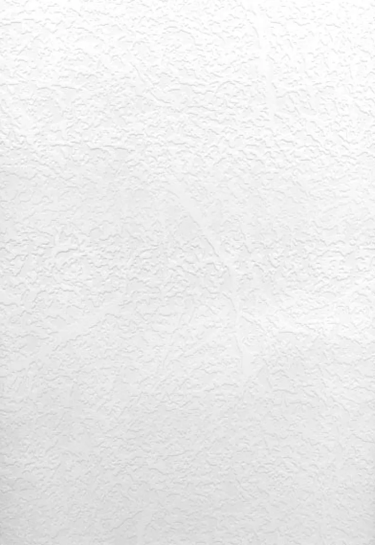 Willie Paintable Texture Wallpaper
