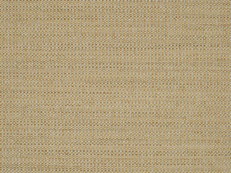 Woodlawn Seashell Covington Fabric