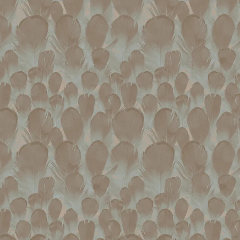Y6230104 Feathers Wallpaper
