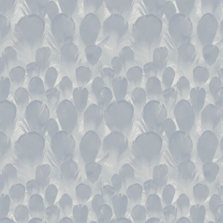 Y6230103 Feathers Wallpaper