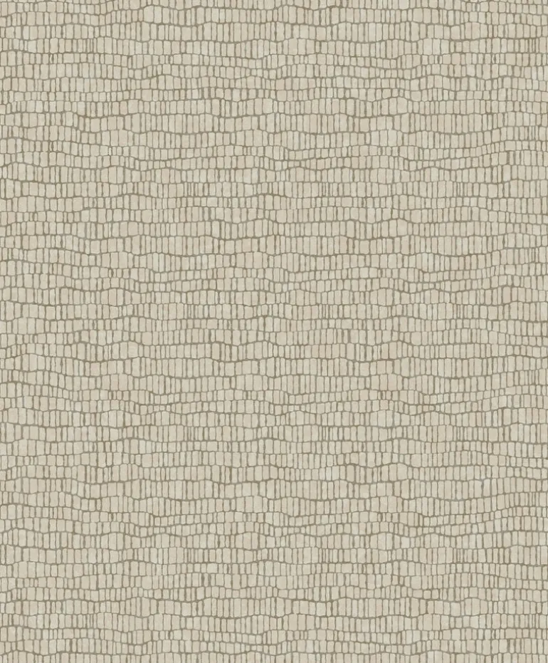 Y6230402 Skin Wallpaper
